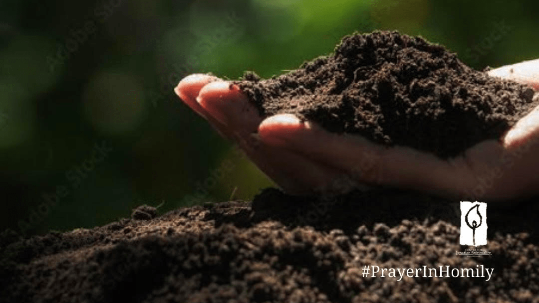 Becoming the Rich Soil