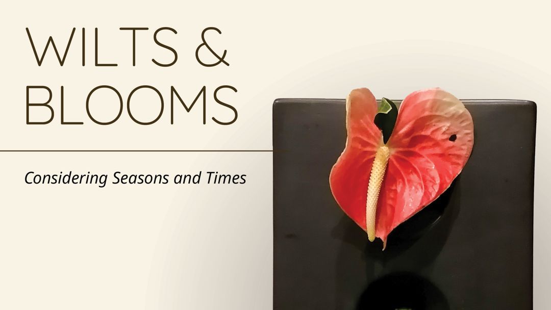 JesCom Set to Launch “Wilts and Blooms” by Fr. Jason Dy, SJ