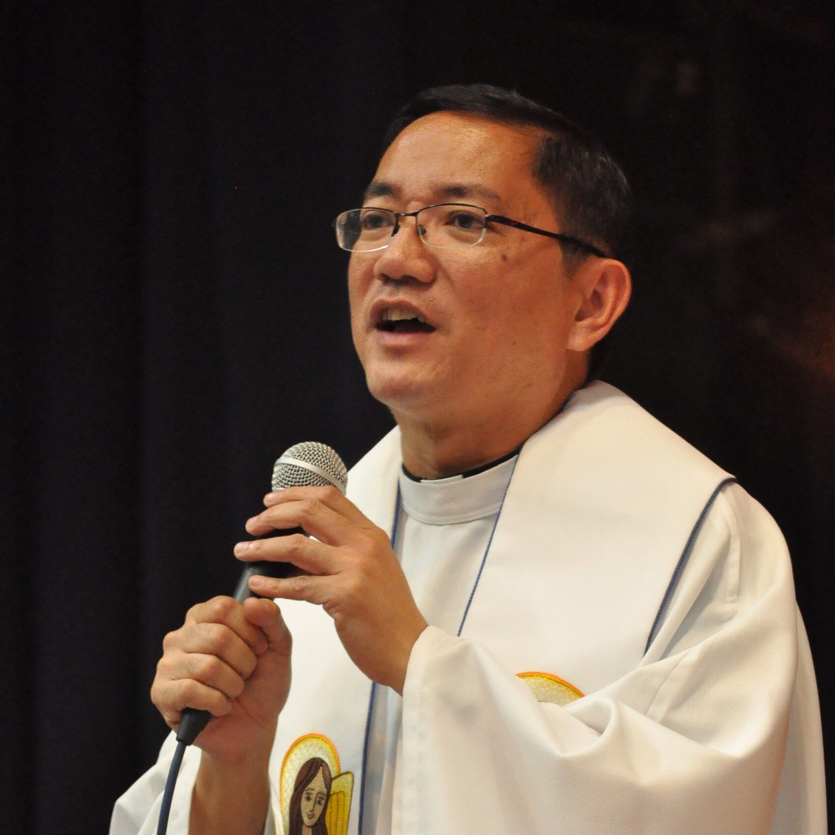 Fr Manuel V Francisco SJ